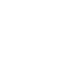 octocat_github